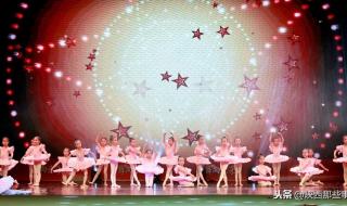 陕西省小天鹅艺术团